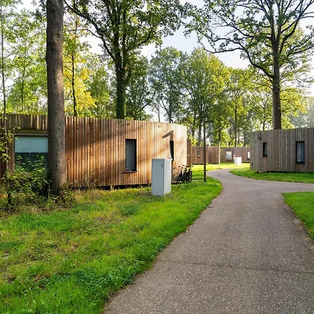 Forest Retreat In Antoing