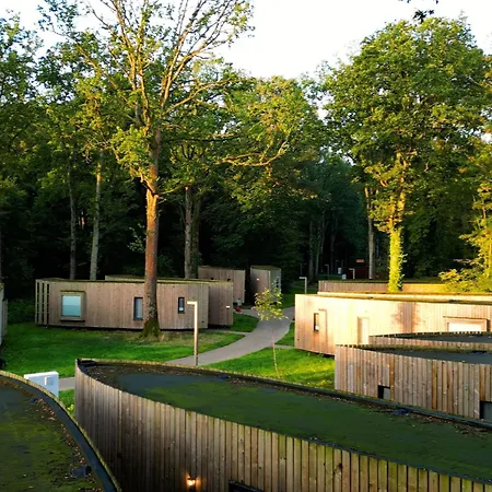 Forest Retreat In Prázdninový dům